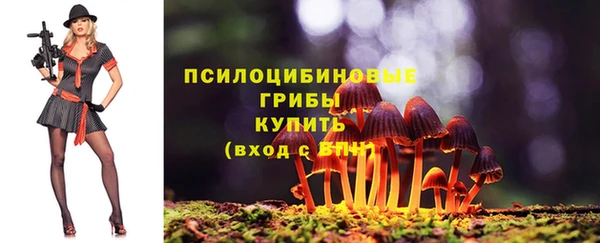 прущий лед Абаза