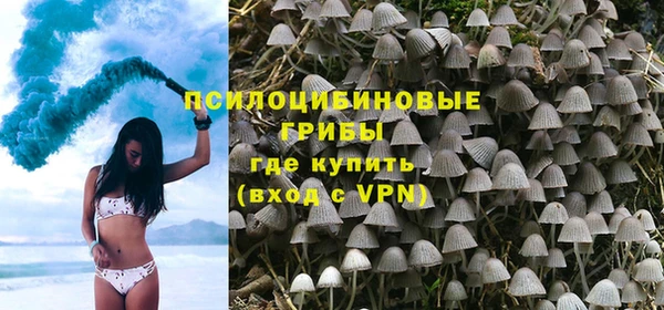 a pvp Алзамай