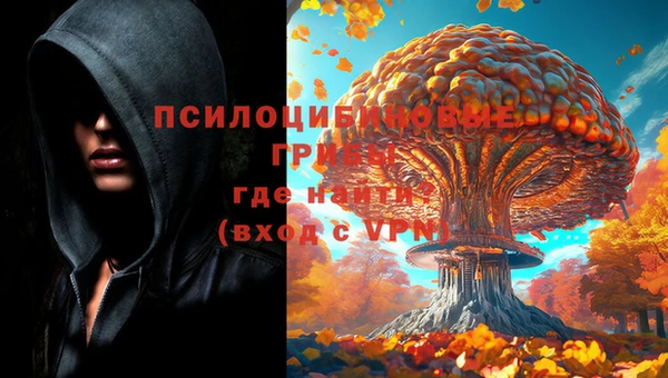 прущий лед Абаза