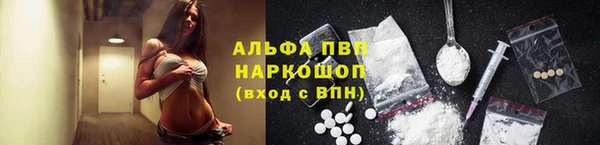 a pvp Алзамай