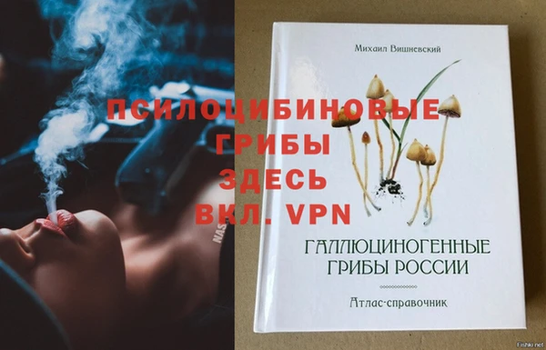 прущий лед Абаза